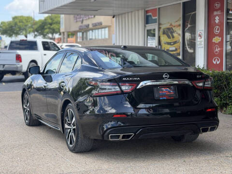 2023 Nissan Maxima 3.5 SV