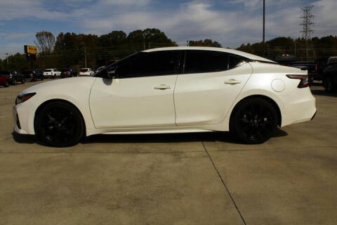 2023 Nissan Maxima for sale at Billy Ray Taylor Auto Sales in Cullman AL