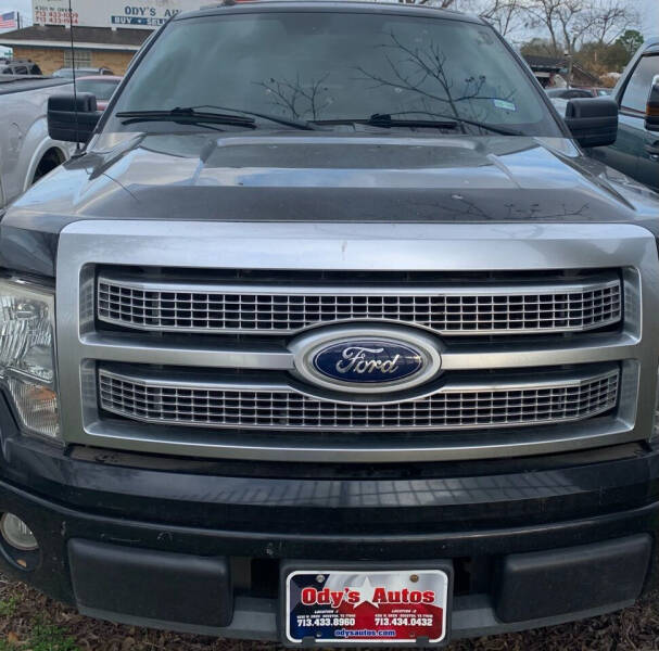 2010 Ford F-150 for sale at Ody's Autos in Houston TX