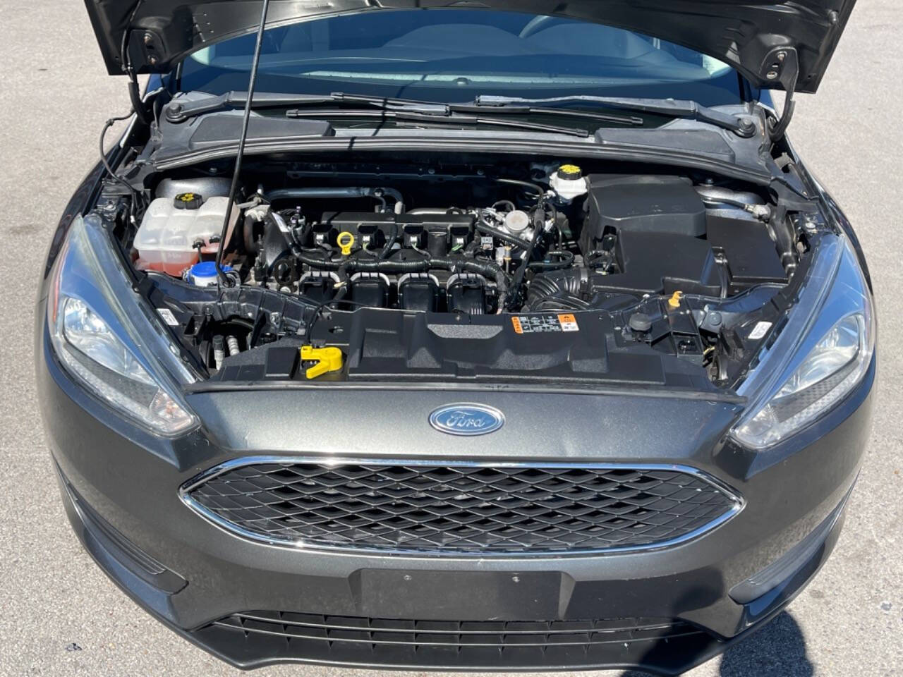 2018 Ford Focus for sale at Elite Motor Group Limited in South Houston, TX