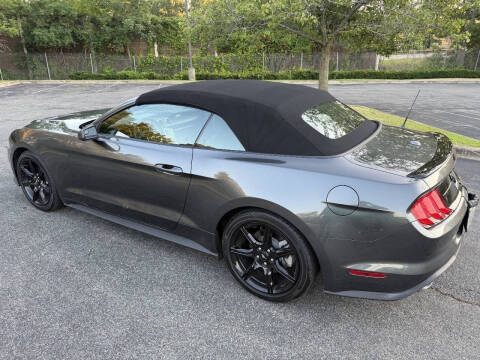 2019 Ford Mustang EcoBoost