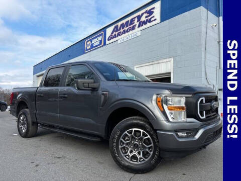 2021 Ford F-150 for sale at Amey's Garage Inc in Cherryville PA