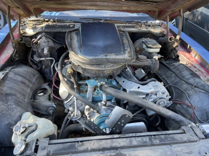 1981 Pontiac Firebird Espirit