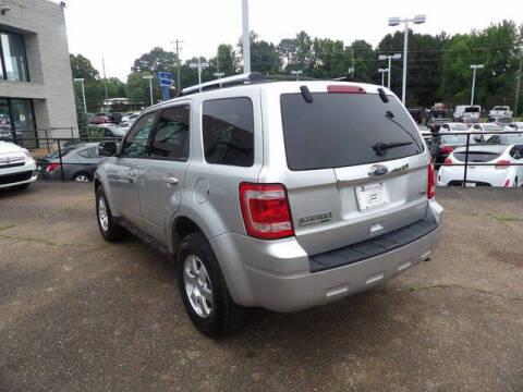 2010 Ford Escape Limited