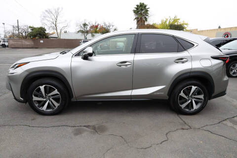 2019 Lexus NX 300h