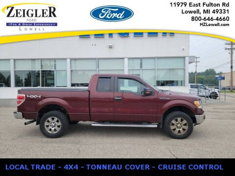 2010 Ford F-150 for sale at Zeigler Ford of Plainwell- Jeff Bishop - Zeigler Ford of Lowell in Lowell MI