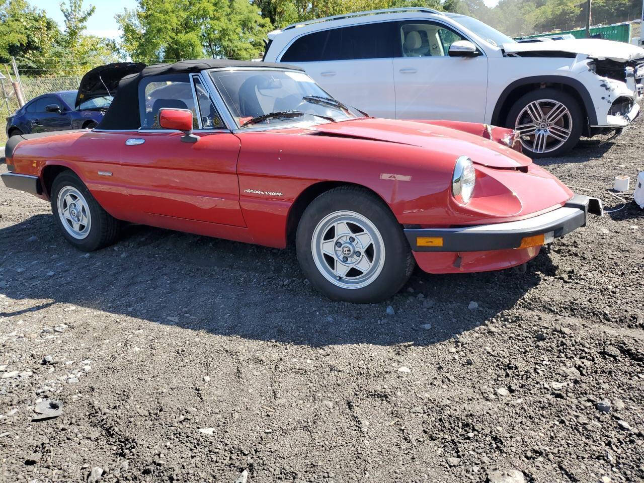 Alfa Romeo Spider For Sale In Hicksville, NY