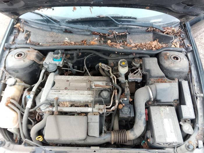 2005 Chevrolet Cavalier