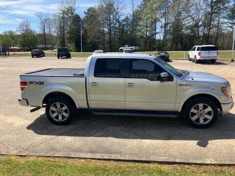 2010 Ford F-150 for sale at ALLEN JONES USED CARS INC in Steens MS