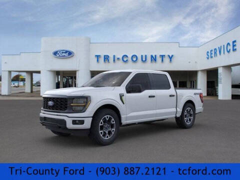 2025 Ford F-150 for sale at TRI-COUNTY FORD in Mabank TX