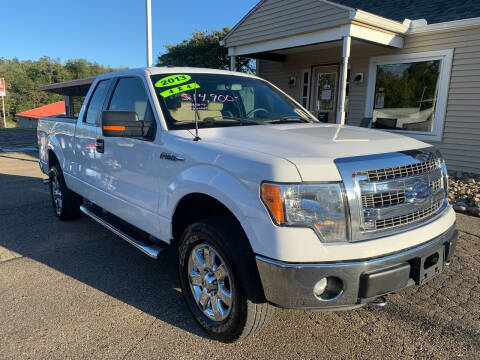 2013 Ford F-150 for sale at G & G Auto Sales in Steubenville OH