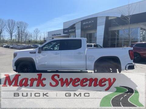 2023 GMC Sierra 1500 for sale at Mark Sweeney Buick GMC in Cincinnati OH