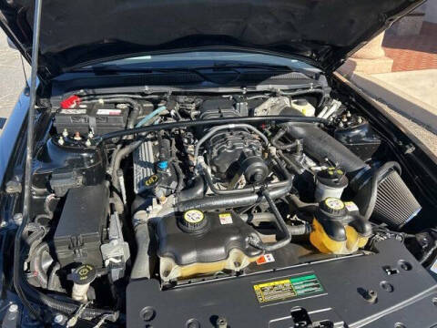 2007 Ford Shelby GT500