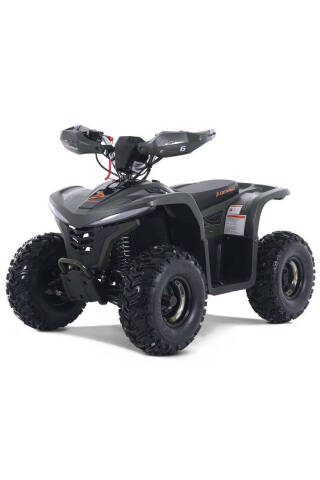 2025 Denago E-Hawk 6