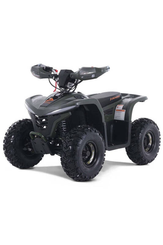 2025 Denago E-Hawk 6