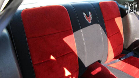 1981 Pontiac Firebird Trans Am SE Turbo
