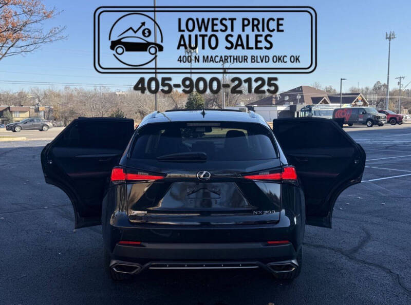 2019 Lexus NX 300 F SPORT