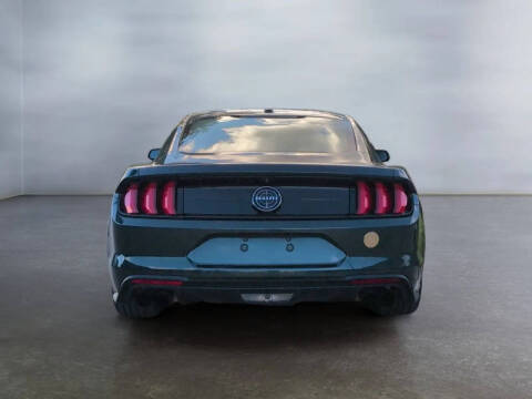2019 Ford Mustang BULLITT