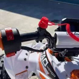 2025 TAO CHEETAH G125