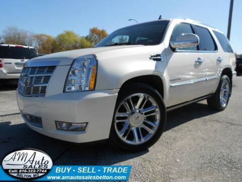 2013 Cadillac Escalade for sale at A M Auto Sales in Belton MO