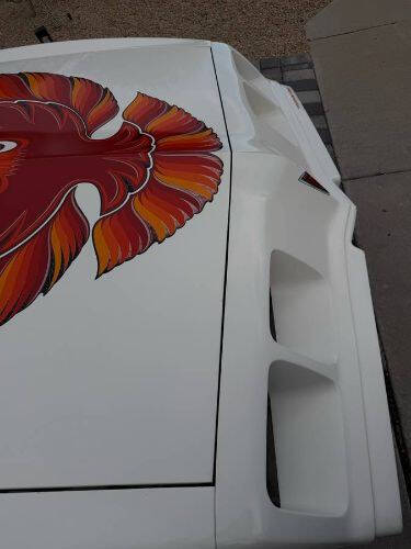 1979 Pontiac Trans Am