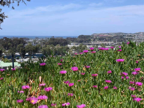 2003 Ford Mustang Premium