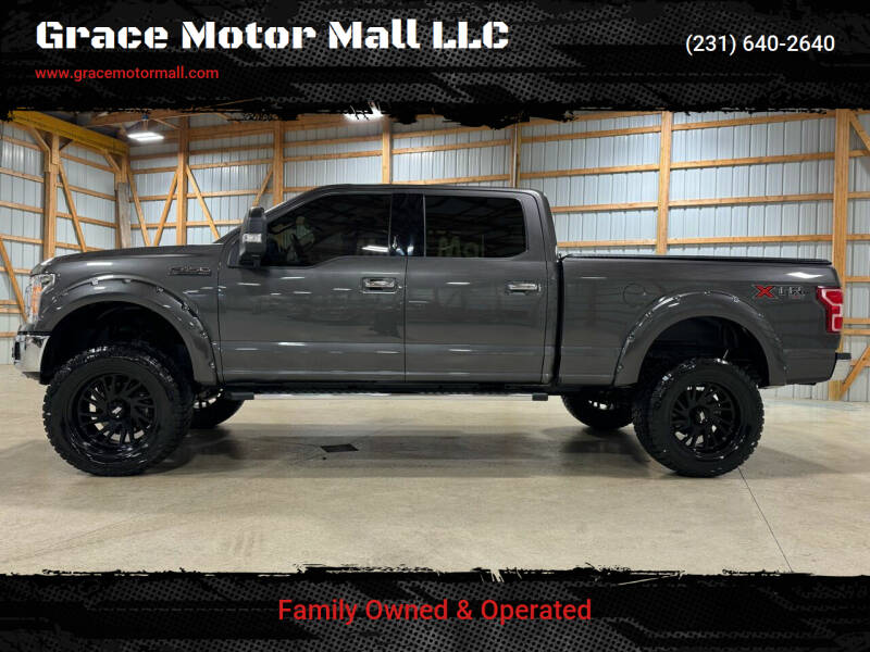 2020 Ford F-150 for sale at Grace Motor Mall LLC in Traverse City MI