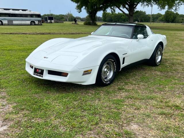 1982 Chevrolet Corvette for sale at Memory Lane Classic Cars in Bushnell, FL