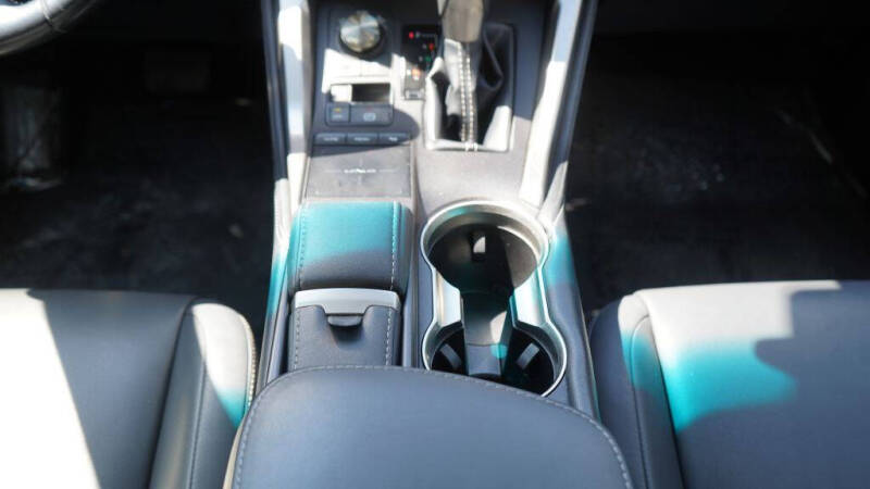 2019 Lexus NX 300 F SPORT