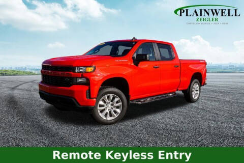 2019 Chevrolet Silverado 1500 for sale at Zeigler Ford of Plainwell- Jeff Bishop in Plainwell MI