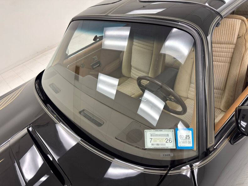 1981 Pontiac Firebird Trans Am