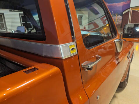 1981 Chevrolet C/K 10 Series C10 Silverado