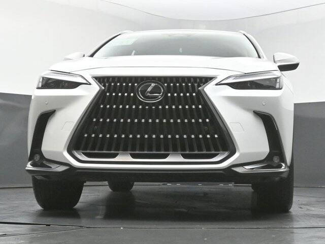 2025 Lexus NX 250