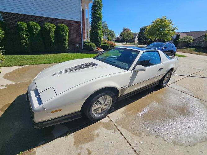 1984 Pontiac Firebird