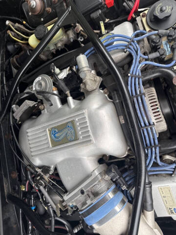 1997 Ford Mustang SVT Cobra