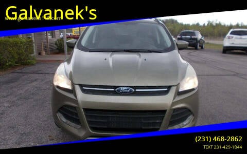 2013 Ford Escape for sale at Galvanek's in Cadillac MI