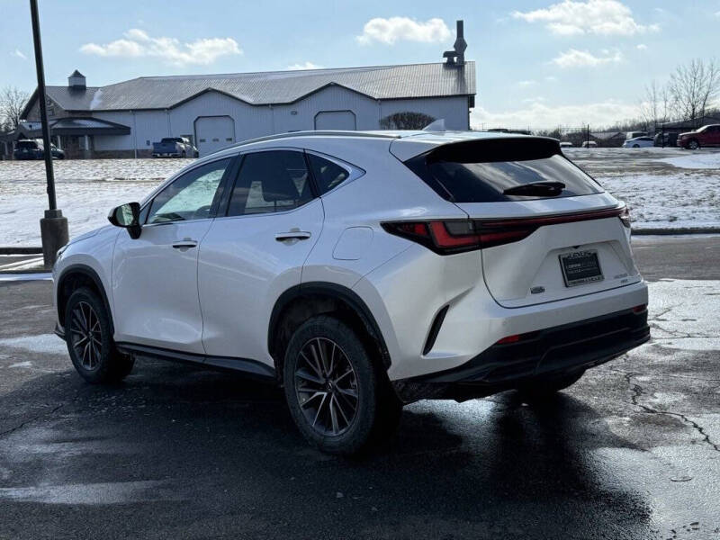 2025 Lexus NX 350