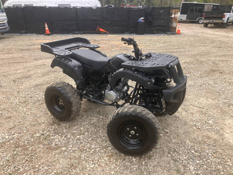 2016 Tao Tao Rhino 250