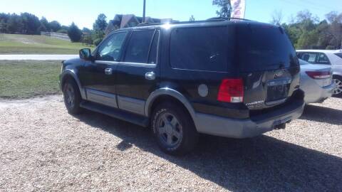2003 Ford Expedition for sale at Young's Auto Sales in Benson NC