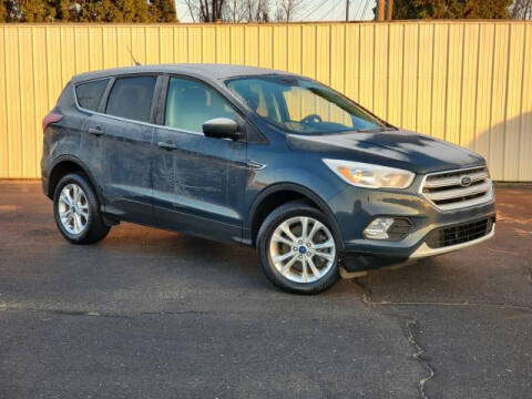 2019 Ford Escape for sale at Miller Auto Sales in Saint Louis MI