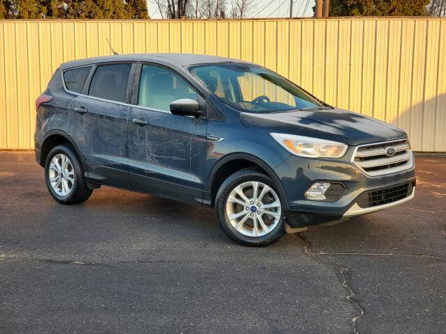 2019 Ford Escape for sale at Miller Auto Sales in Saint Louis MI