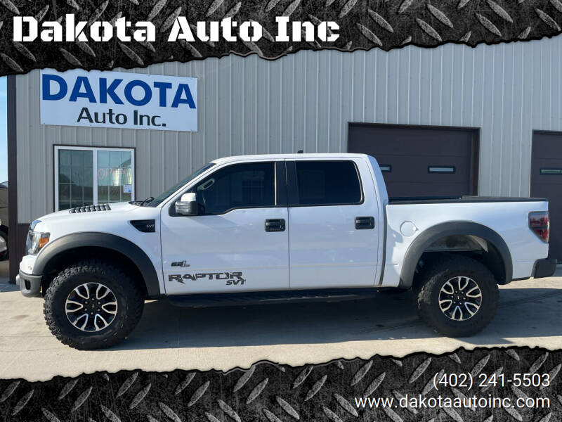 2011 Ford F-150 for sale at Dakota Auto Inc in Dakota City NE