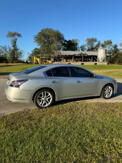 2014 Nissan Maxima for sale at Hanks Auto Sales in Coats, NC