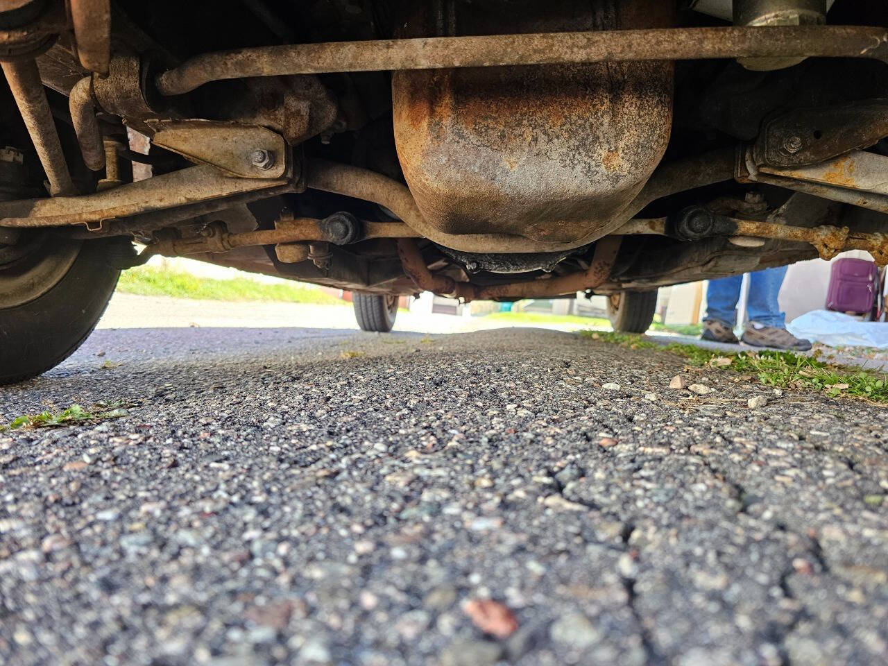 1964 Ford Mustang 186