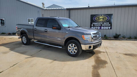 2013 Ford F-150 for sale at BERG AUTO MALL & TRUCKING INC in Beresford SD