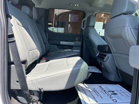 2025 Ford F-150 Lightning Flash