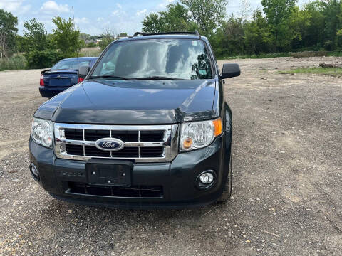 2009 Ford Escape XLT