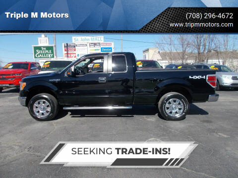 2011 Ford F-150 for sale at Triple M Motors in Saint John IN