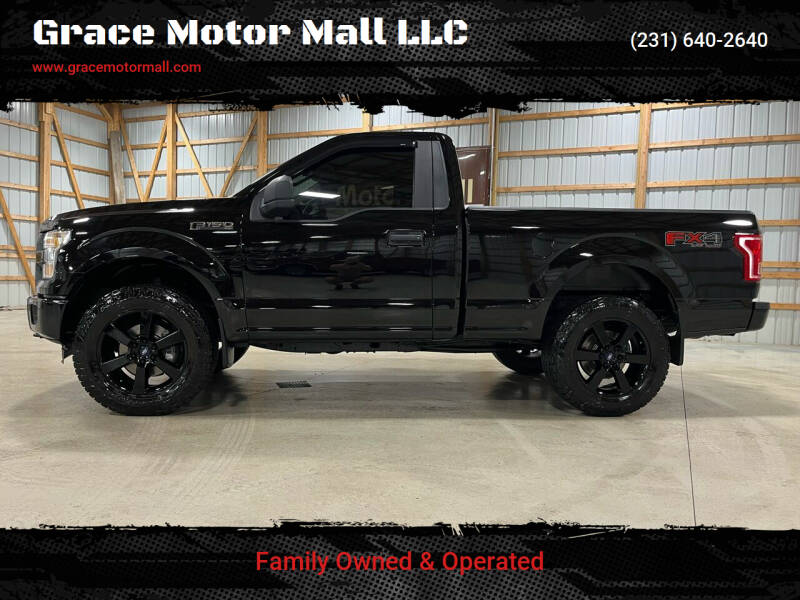 2016 Ford F-150 for sale at Grace Motor Mall LLC in Traverse City MI