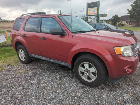 2011 Ford Escape XLT